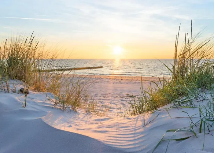 Immenbarg, Seeteufel * Rostock